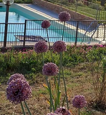 Casa Campagna * Cossombrato